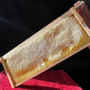 Full Frame of Honey